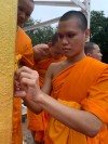 _889 - พัดไทย หอยทอดขนาดใหญ่.jpeg
